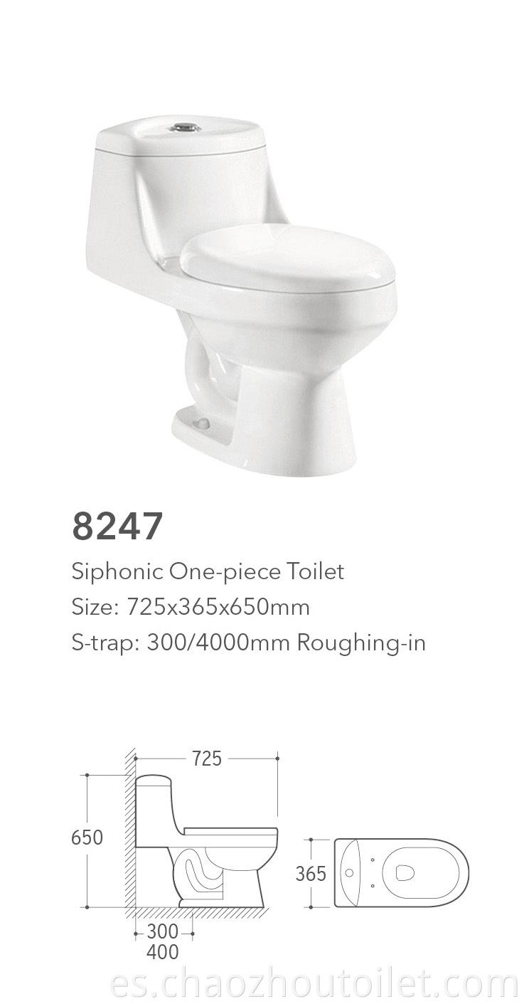 8247 One Piece Toilet